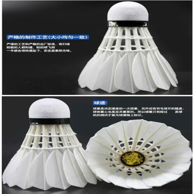 运动员复出最新动态：年轻化视角的独特观察